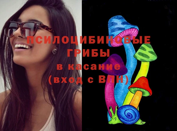 спиды Михайловск